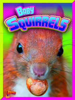 cover image of Baby Squirrels